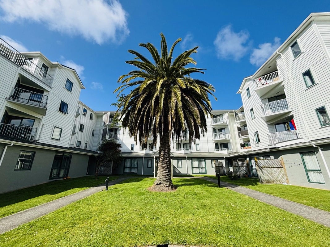 A6/13 Palm Grove, Berhampore, Wellington - Carousel 10