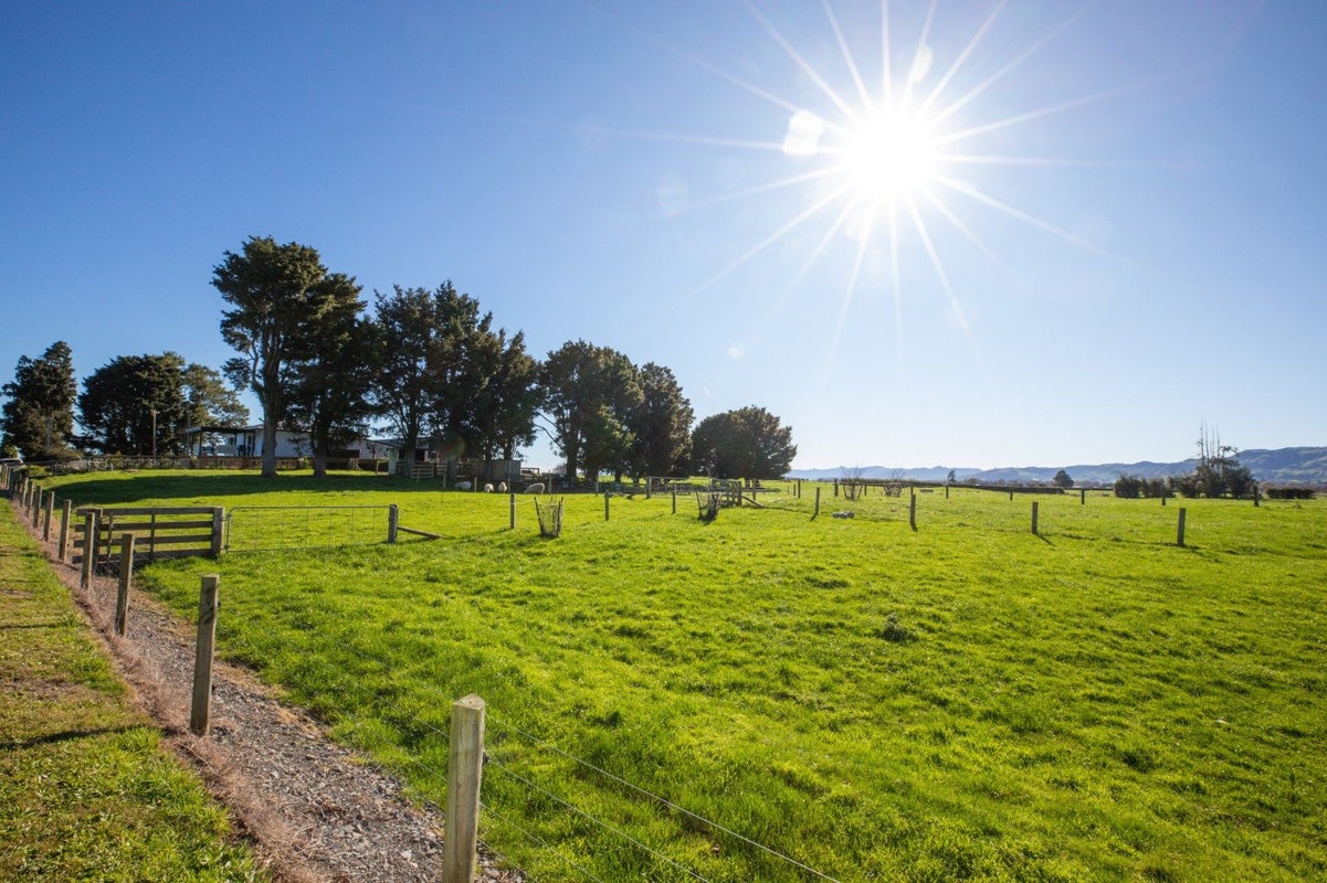 26 Cadman Road, Tirohia, Paeroa - Carousel 29