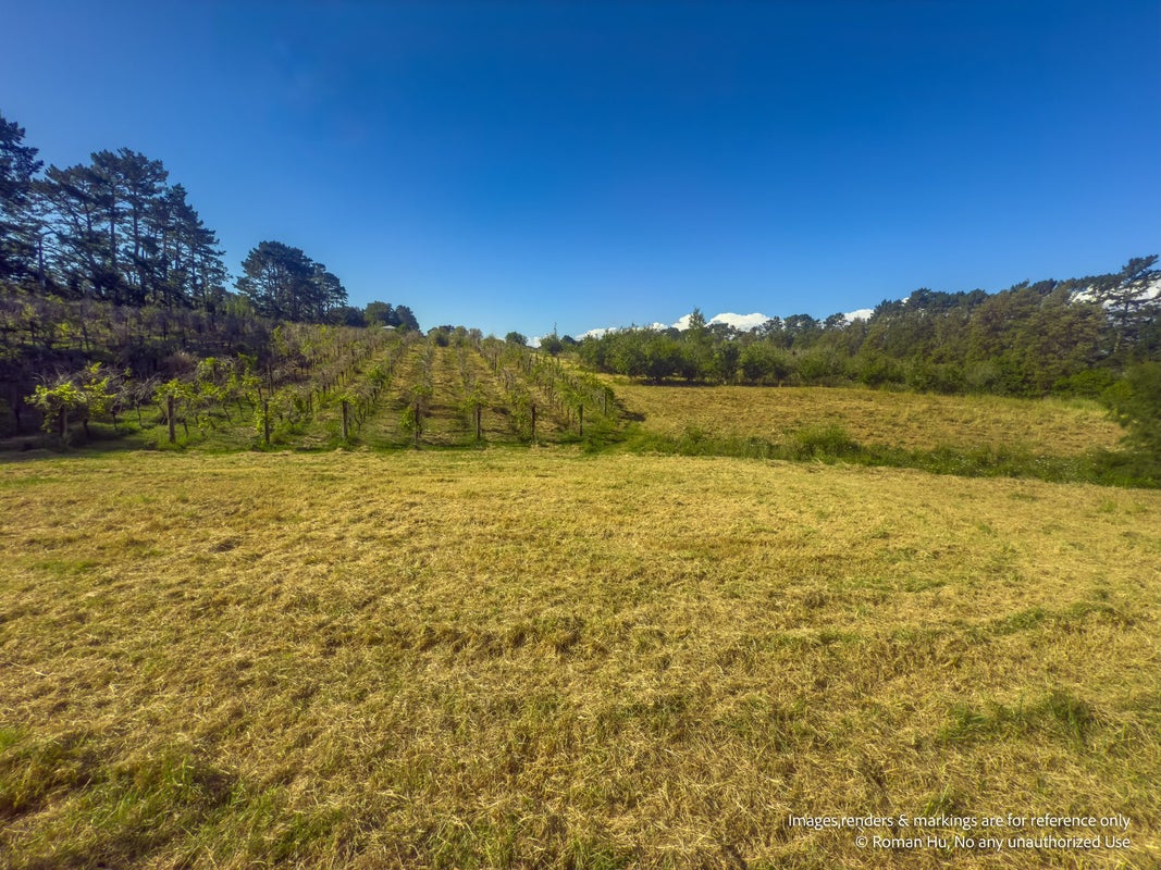 162 Trigg Road, Kumeu - Carousel 9