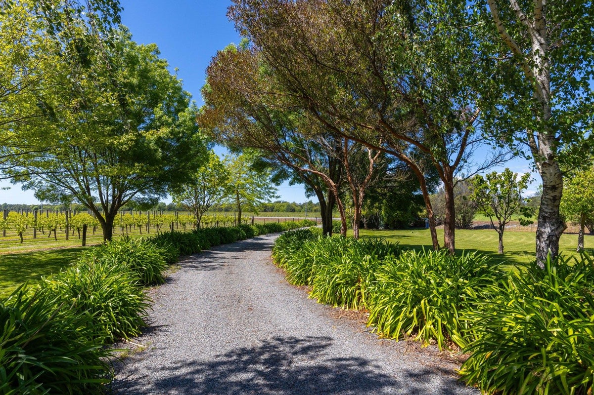 1328 Kaituna-Tuamarina, KAITUNA, BLENHEIM - Carousel 43