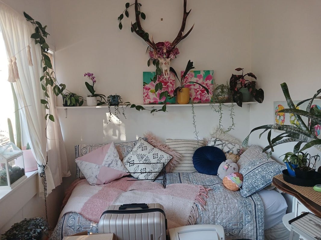 74 Wellington Street, Nelson South, Nelson - Carousel 2
