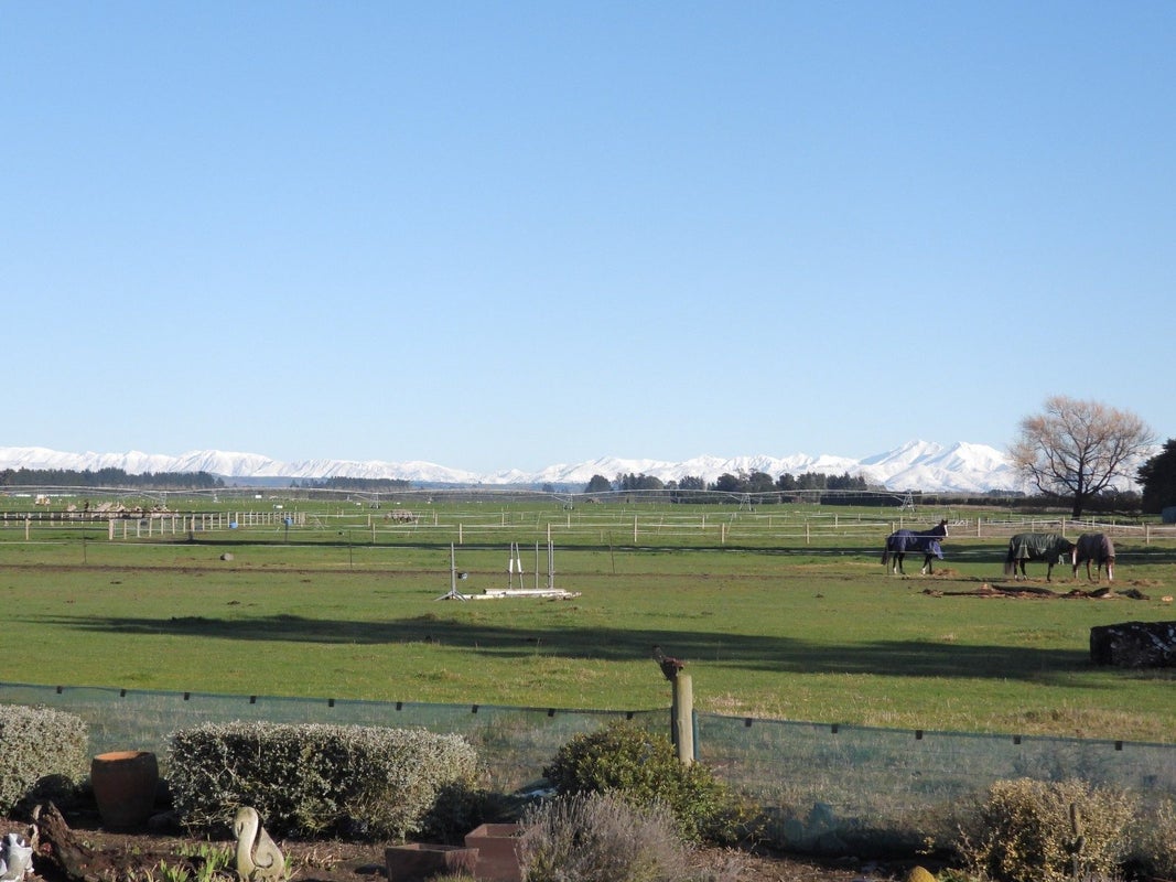 43 Barr Street, Oamaru - Carousel 20