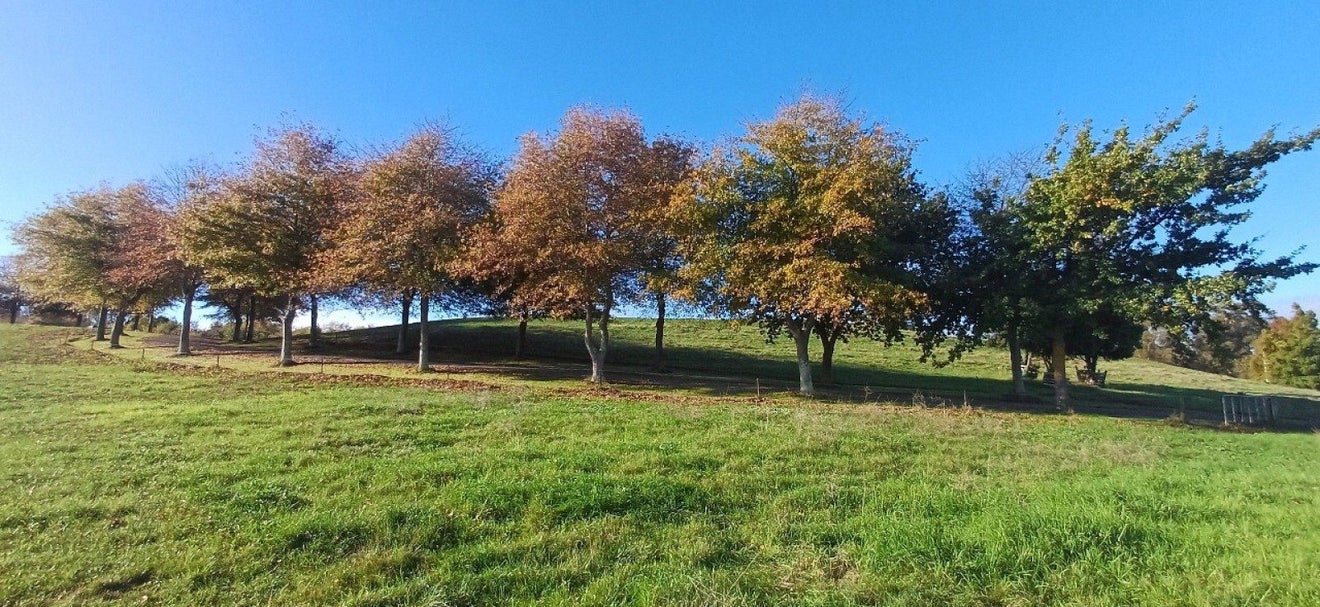 0 Tuki Tuki Road, Haumoana - Carousel 2
