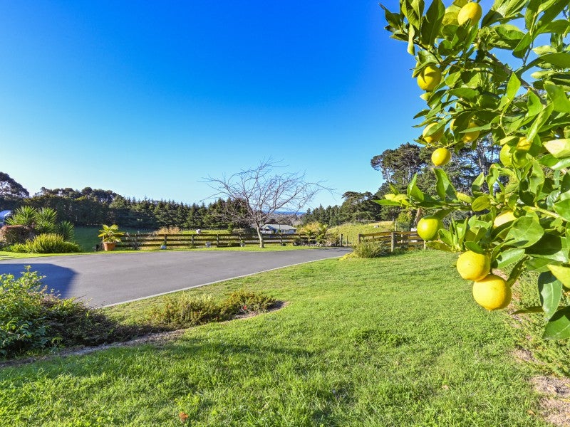35 Pineleigh Drive, Poraiti, Napier - Carousel 26