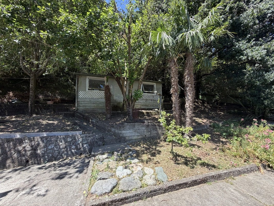 18 RATA STreet, The Brook, NELSON - Carousel 11
