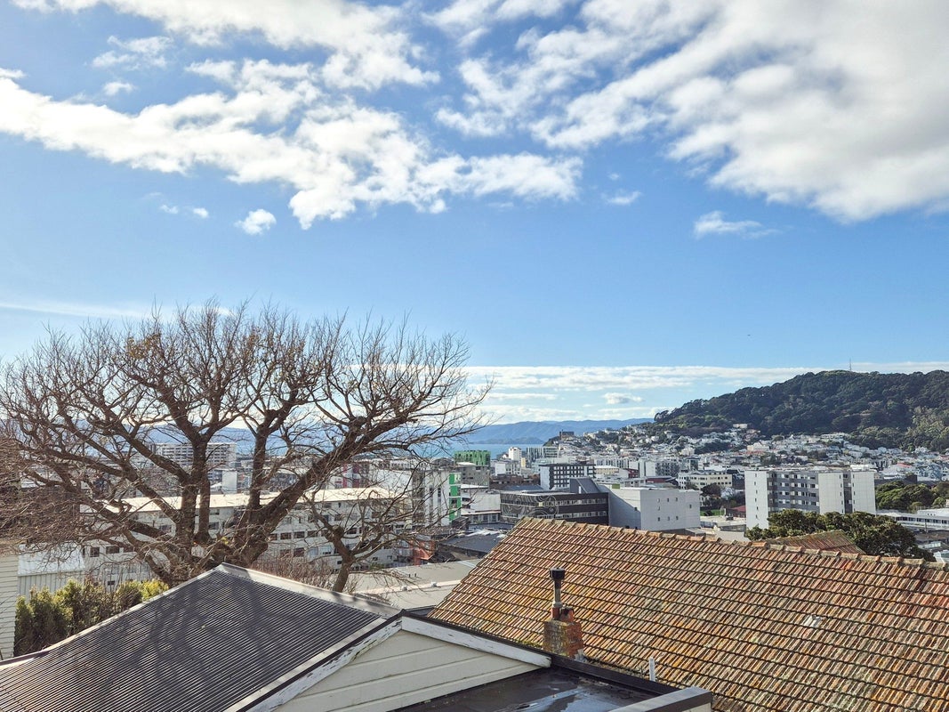 39 Thompson Street, Mount Cook, Wellington - Carousel 2