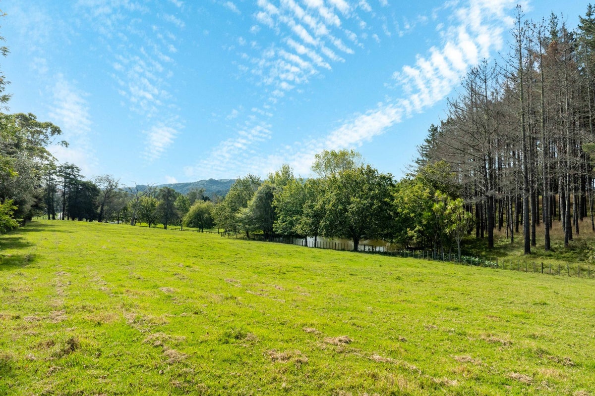 894 Horseshoe Bush Road, Waitoki, Kaukapakapa - Carousel 39