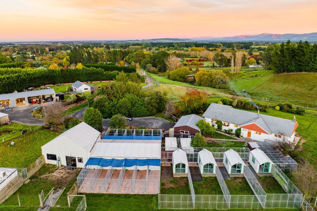 554 Carrs Road, Loburn, Rangiora - Carousel 41