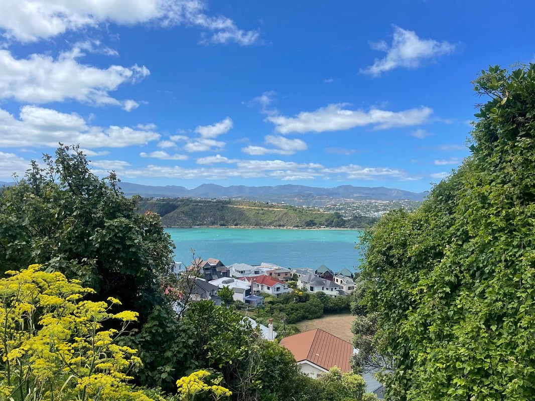 6B Peranga Terrace, Hataitai, Wellington - Carousel 2