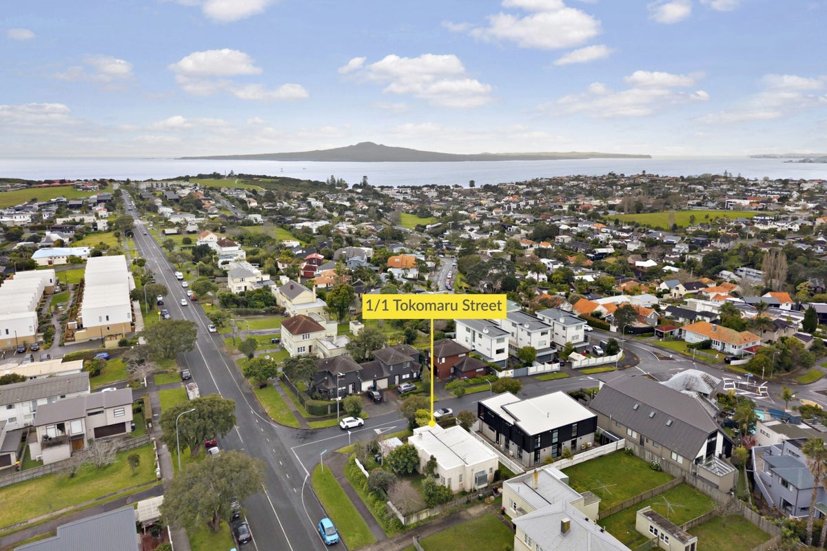 1/1 Tokomaru Street, Orakei, Auckland - Carousel 1