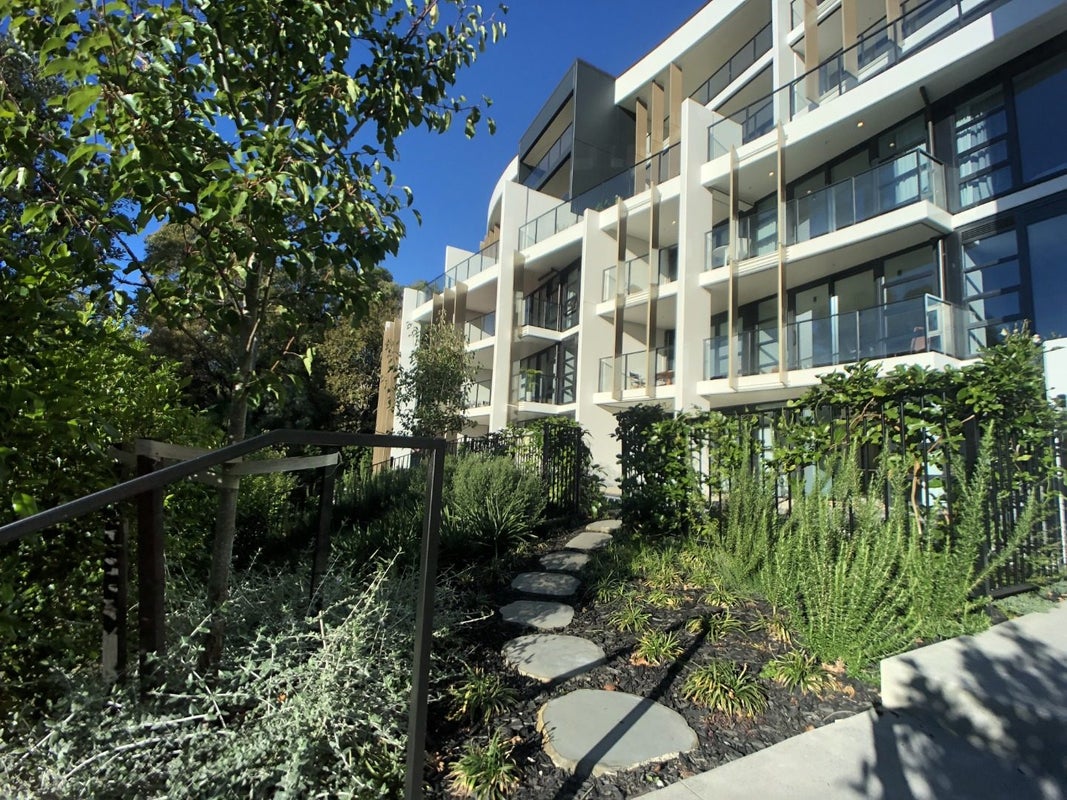 103/8 Kingsland Terrace, Kingsland, Auckland - Carousel 1