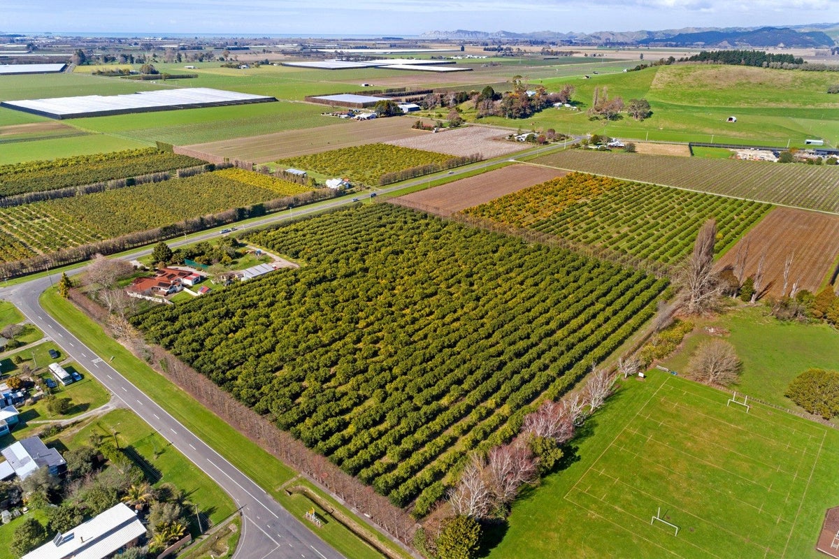47 Patutahi Road, Gisborne - Carousel 2