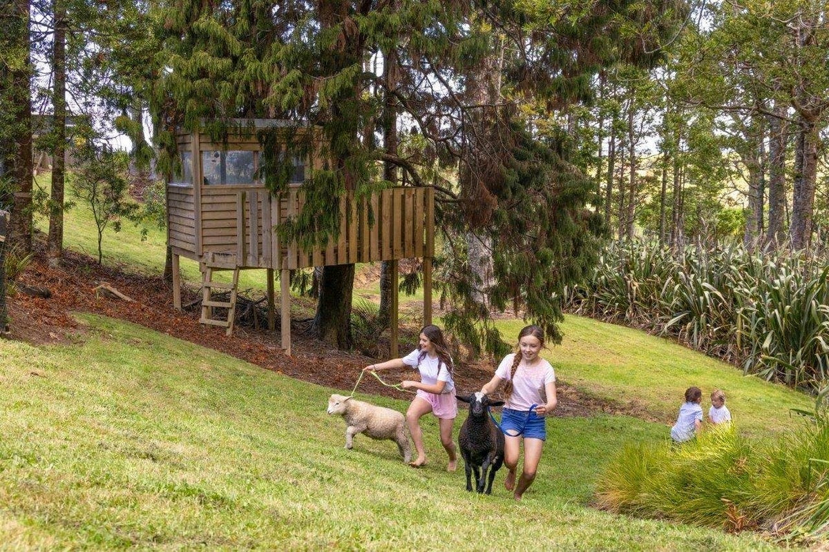 277 Cames Road, Wellsford - Carousel 16