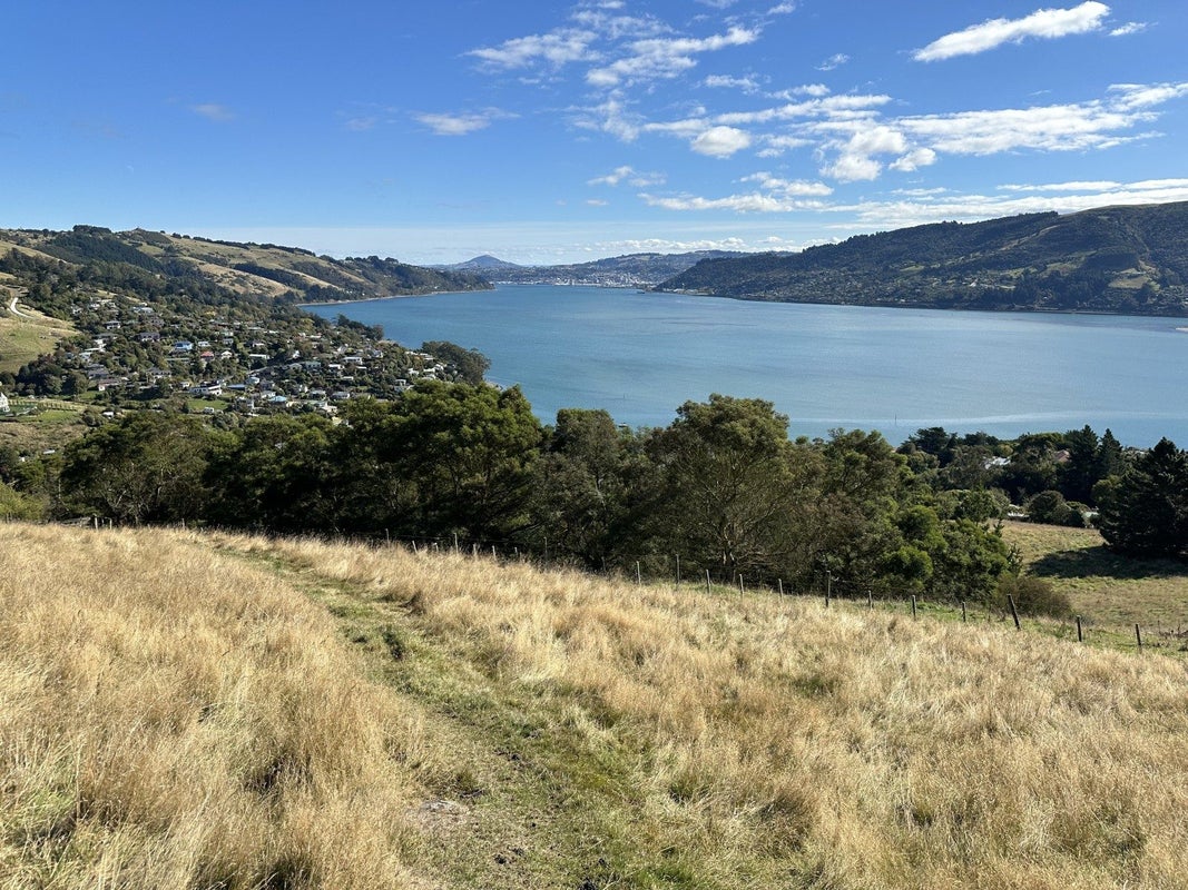 26 Dickson Street, Macandrew Bay, Dunedin - Carousel 22