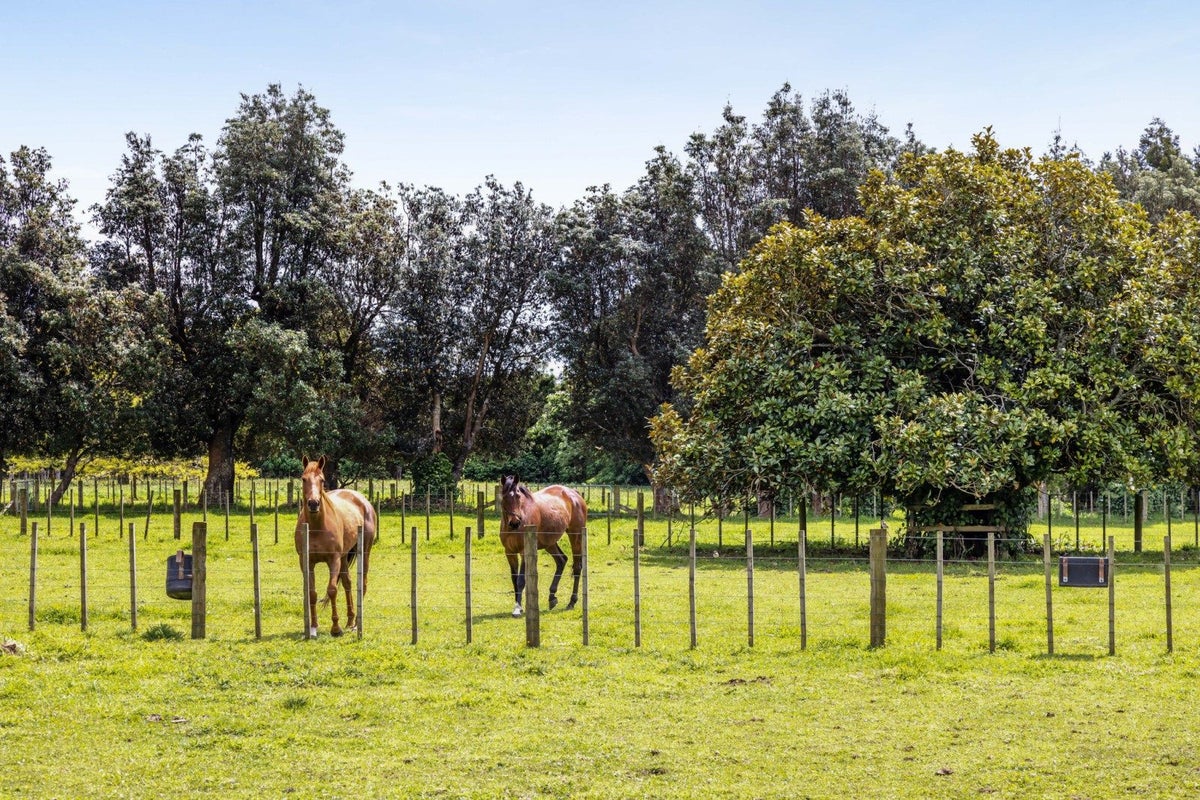 200 Paraite Road, Paraite, New Plymouth - Carousel 1