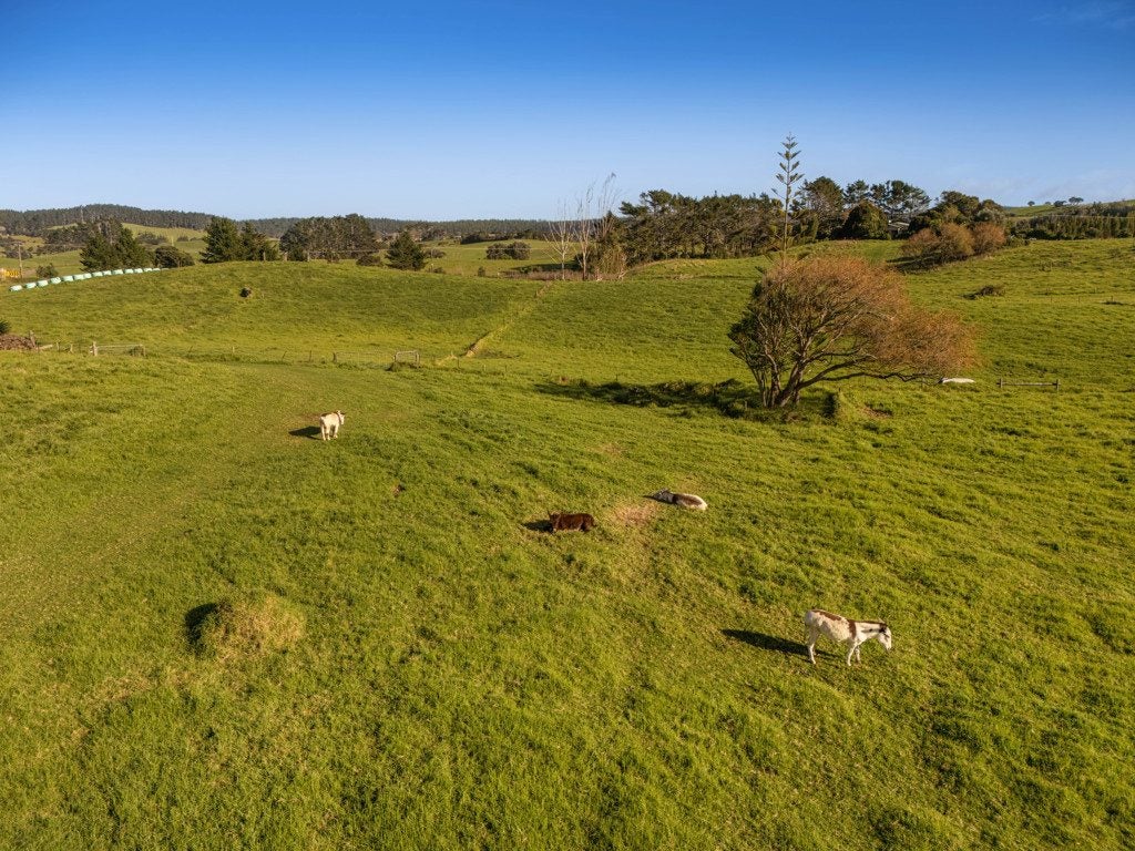 2640 SOUTH HEAD ROAD, Helensville, Auckland - Carousel 2