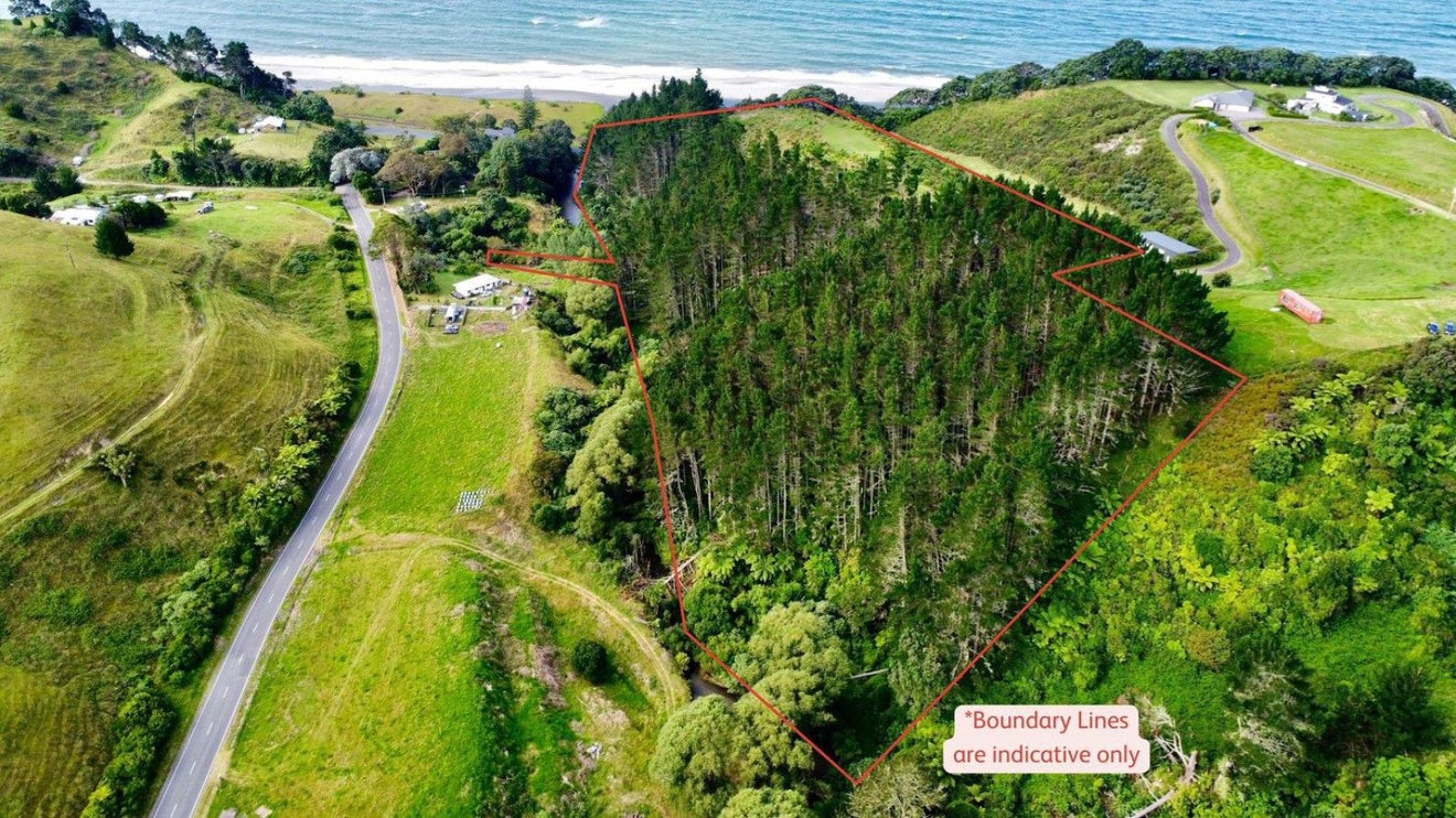 761H State Highway 2 West, Pikowai, Matata - Carousel 18