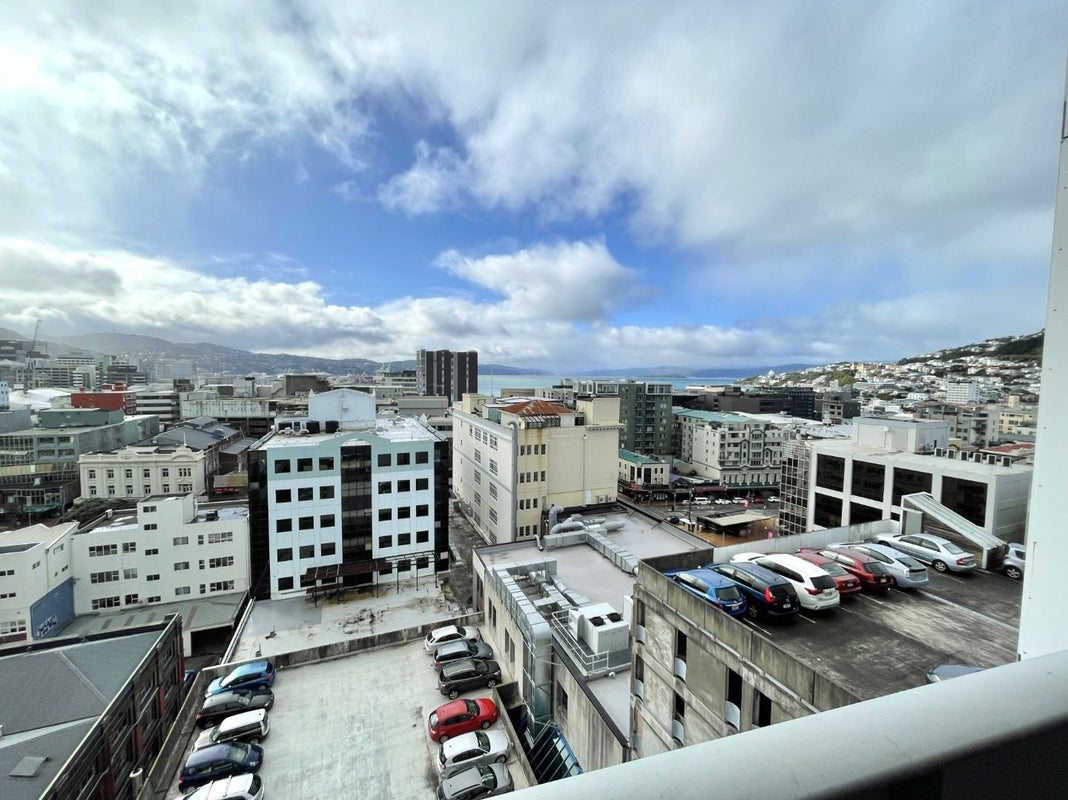 1208/74 Taranaki Street, Te Aro, Wellington - Carousel 18