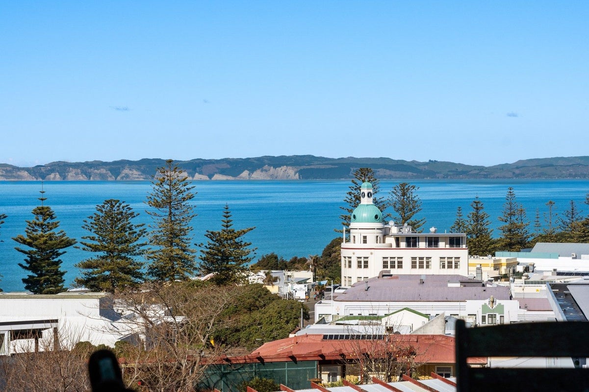 16 Brewster Street, Bluff Hill, Napier - Carousel 39