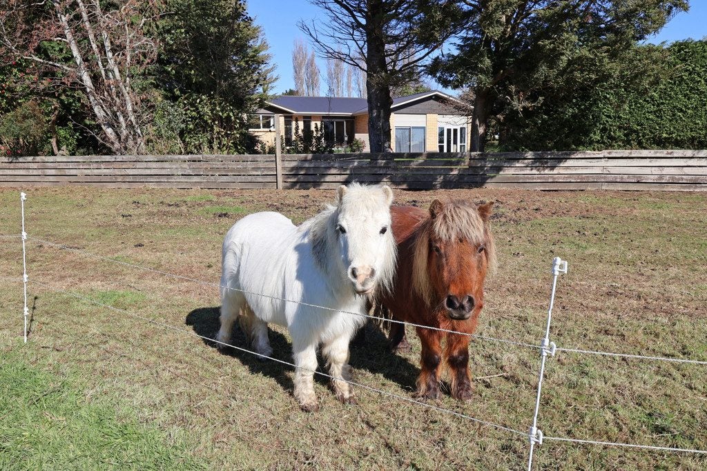 36 Mill Road North, Mill Road, Invercargill - Carousel 1