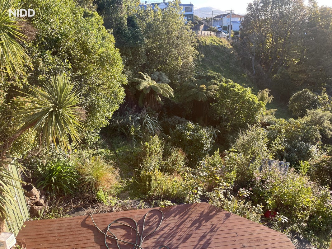 93 Maryhill Terrace, Maryhill, Dunedin - Carousel 10