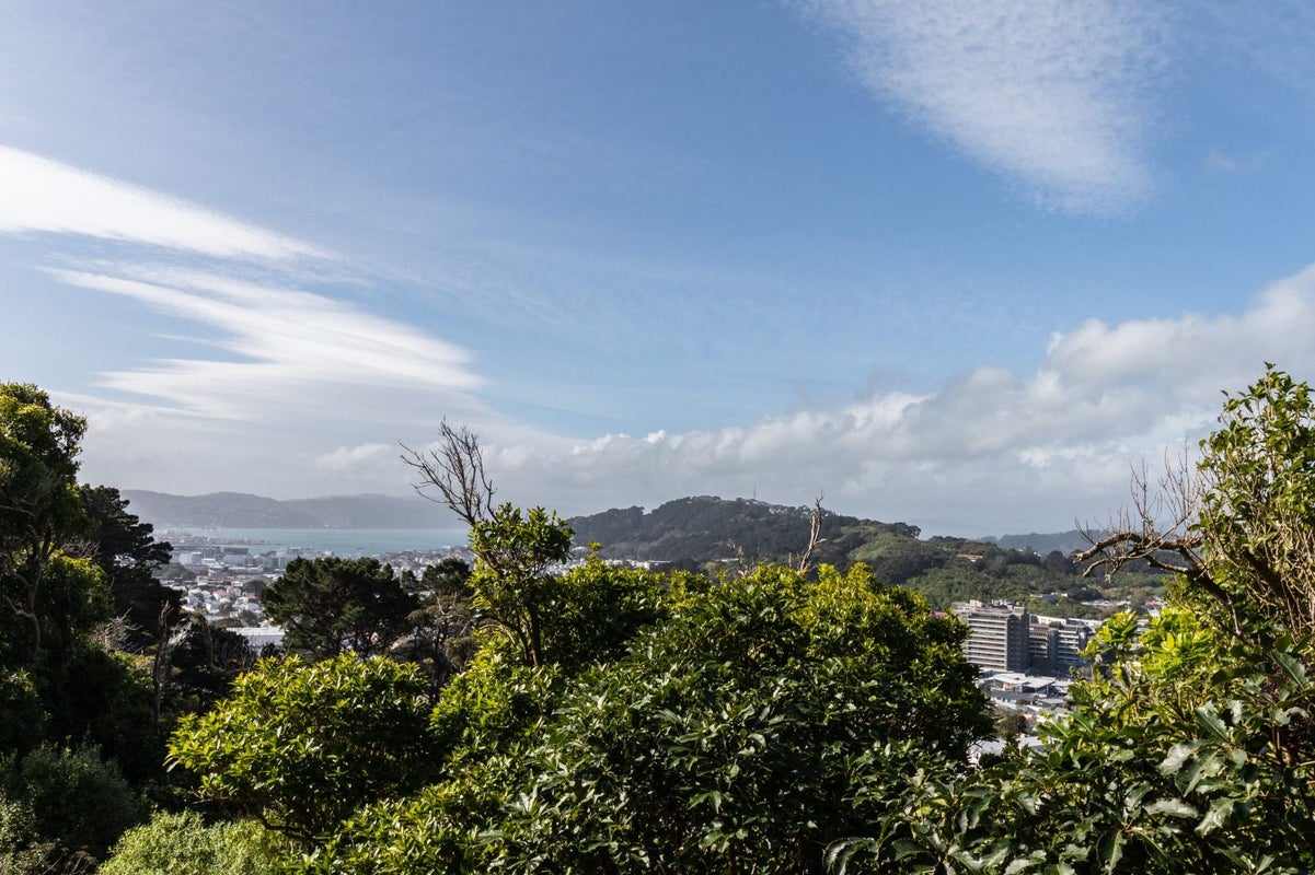 10/23 Finnimore Terrace, Vogeltown, Wellington - Carousel 11
