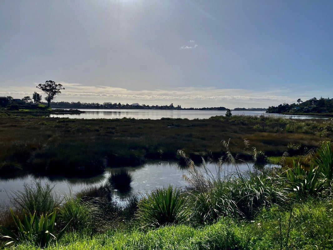 45 Hinaki Street, Poike, Tauranga - Carousel 1