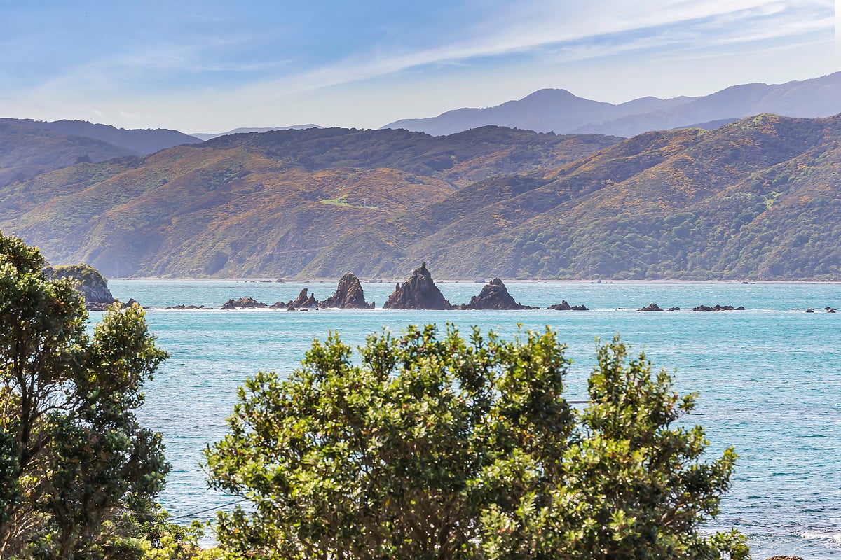 158B Breaker Bay Road, Breaker Bay, Wellington - Carousel 20
