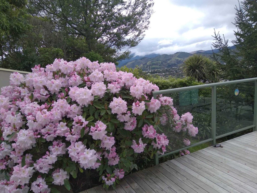 179A Princes Drive, Britannia Heights, Nelson - Carousel 24