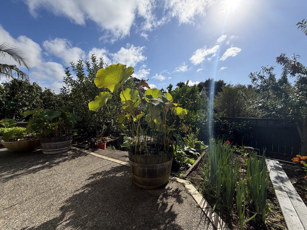 109 Aberley Road, Schnapper Rock, Auckland - Carousel 18