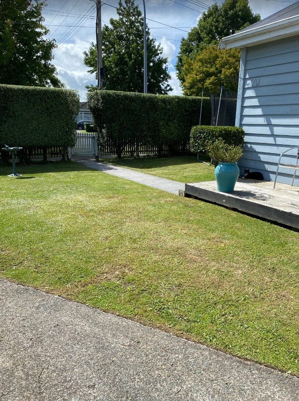 73 Galloway Street, Hamilton East, Hamilton - Carousel 11
