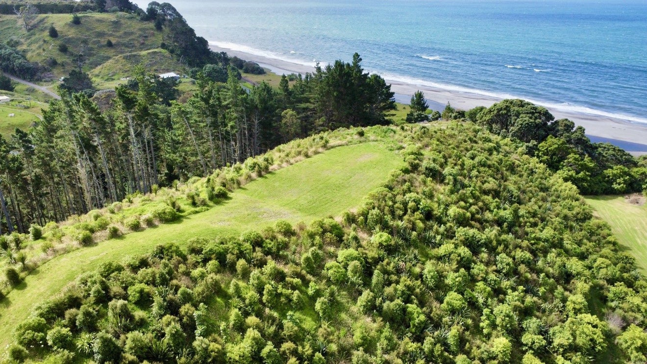 761H State Highway 2 West, Pikowai, Matata - Carousel 1