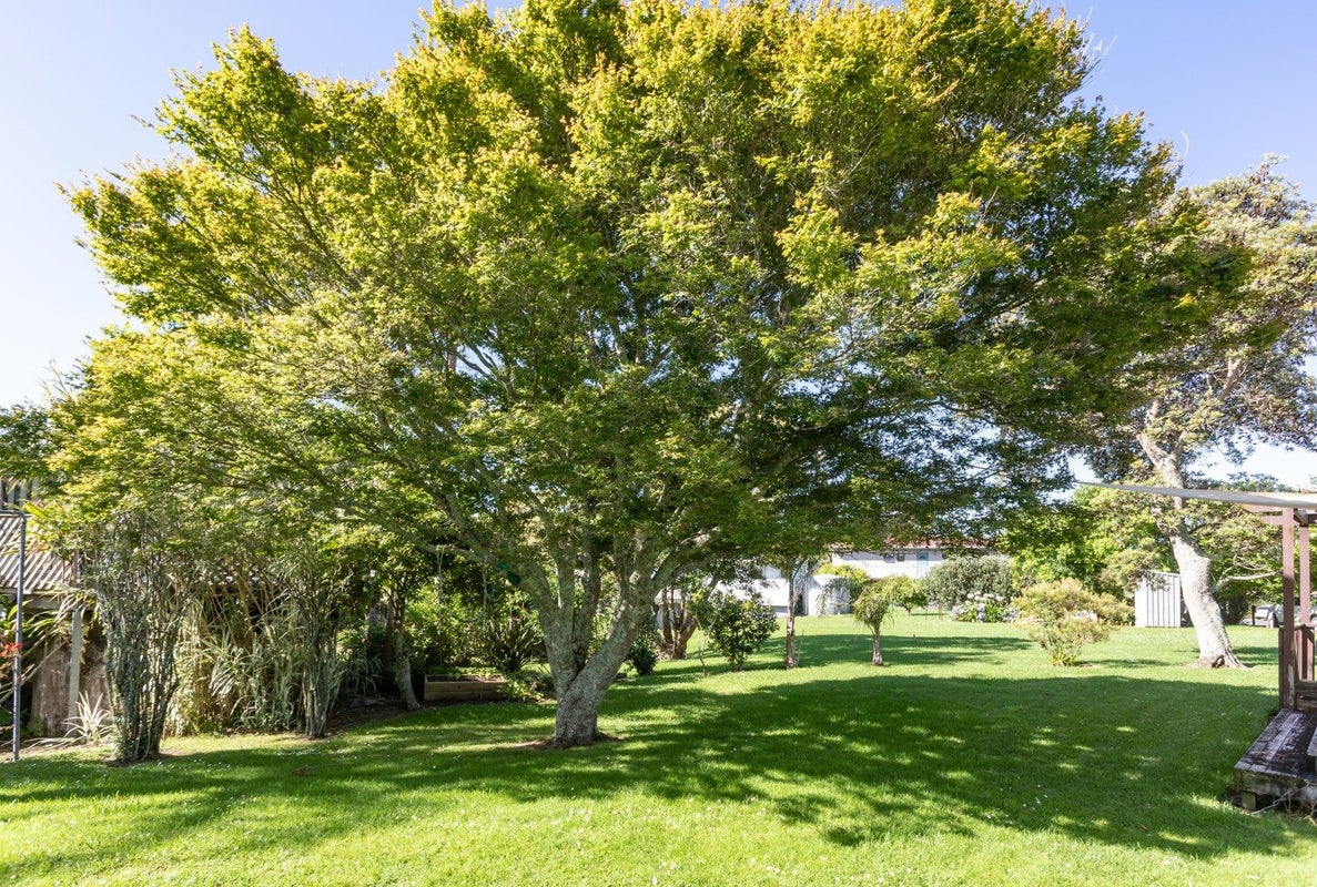 2 Wigmore Crescent, Hahei, Whitianga - Carousel 20