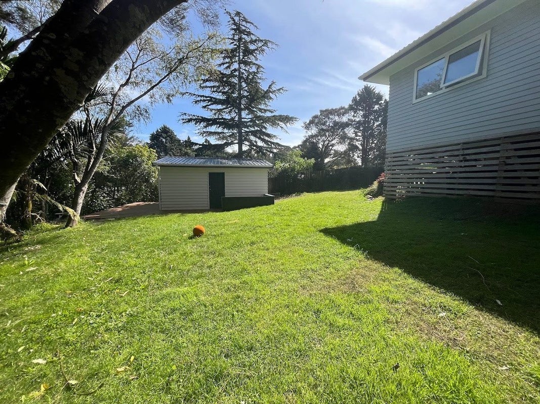 196 Glengarry Road, Glen Eden, Auckland - Carousel 29
