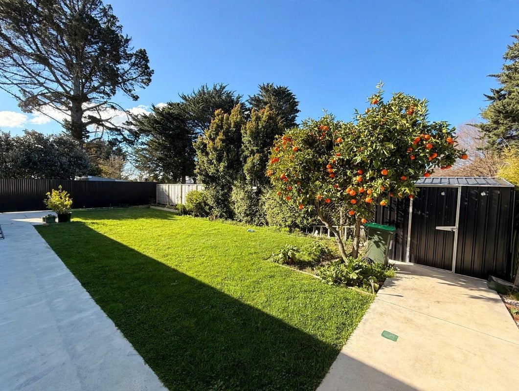 25A Exeter Crescent, Pirimai, Napier - Carousel 13