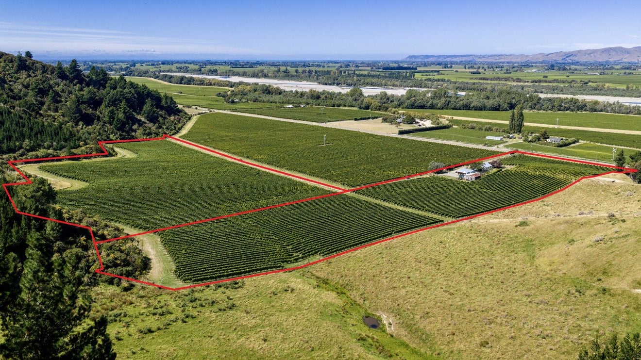 1224 Kaituna-Tuamarina, KAITUNA, RENWICK - Carousel 2