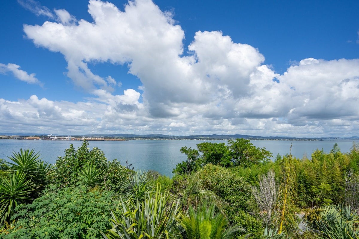 44 Darch Point Road, Whangarei Heads - Carousel 2