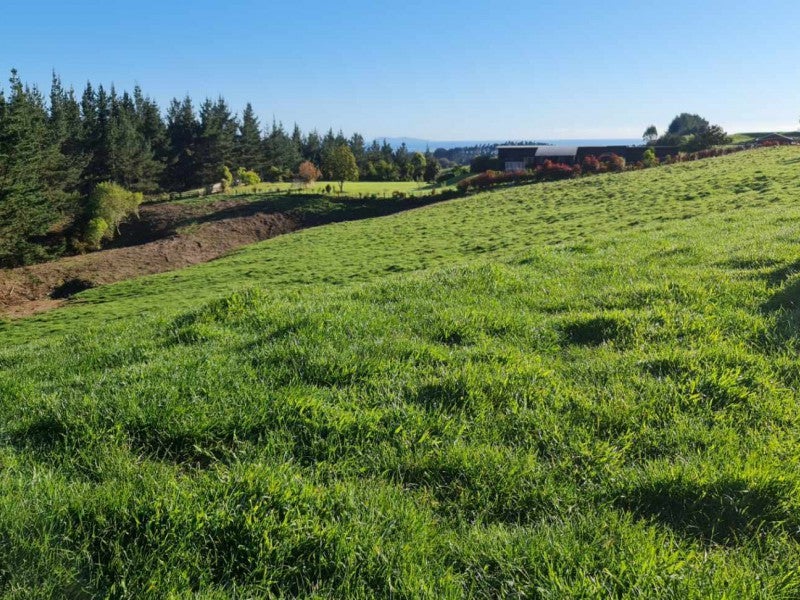 95 Te Kohanga Road, Whakamarama, Whakamārama - Carousel 8
