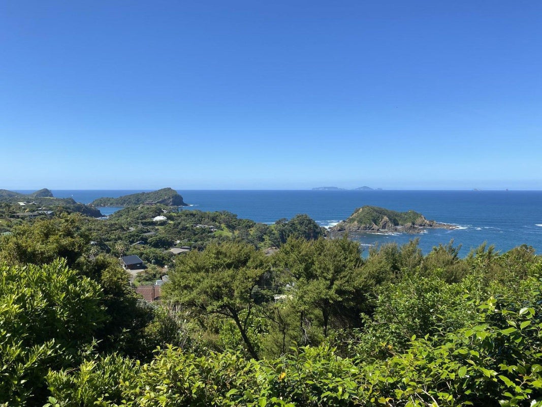 26 Dolphin Place, Whangarei - Carousel 10