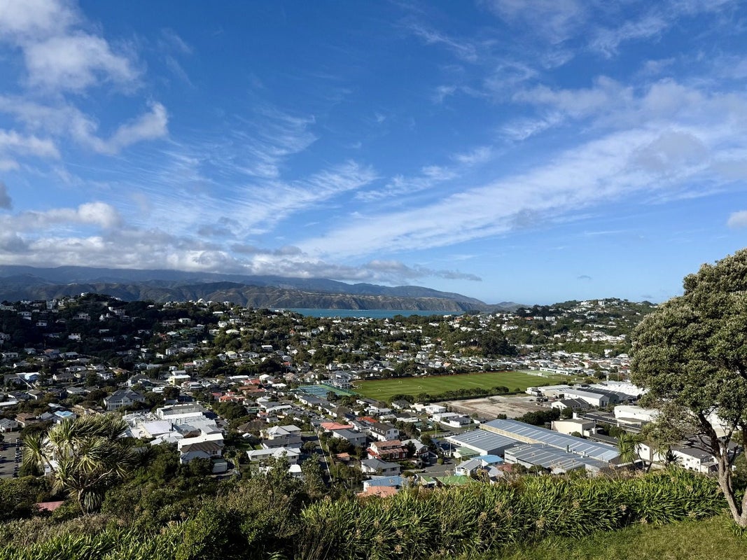 23 Tamahine Street, Maupuia, Wellington, Wellington - Carousel 23