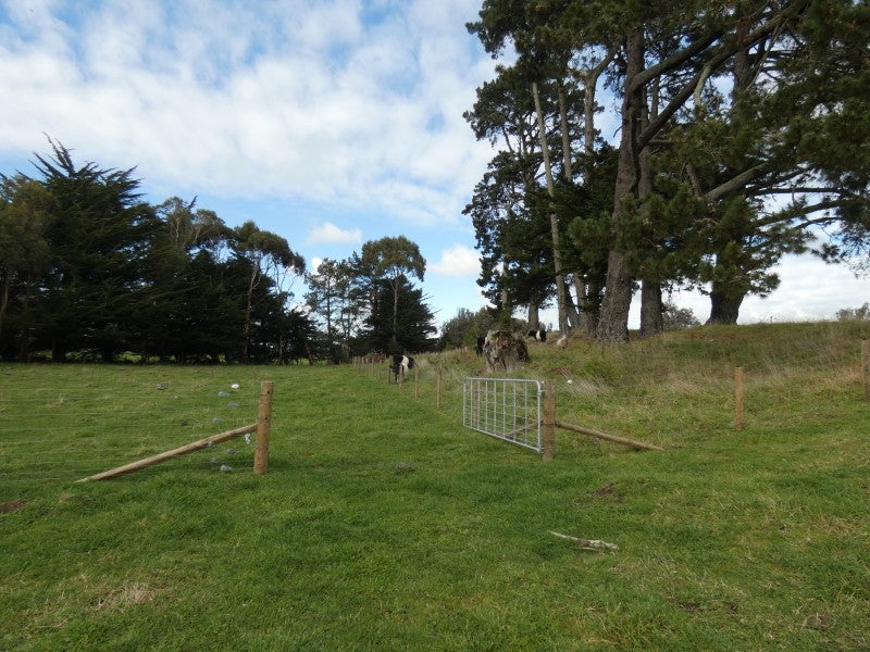 539 Kellow Road, Glen Oroua, Palmerston North - Carousel 26