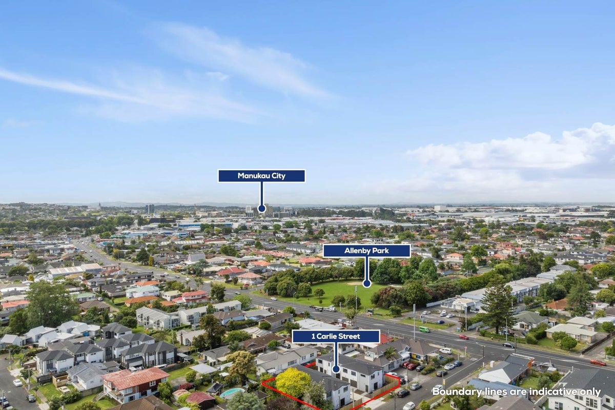 1F Carlie Street, Papatoetoe, Auckland - Carousel 16