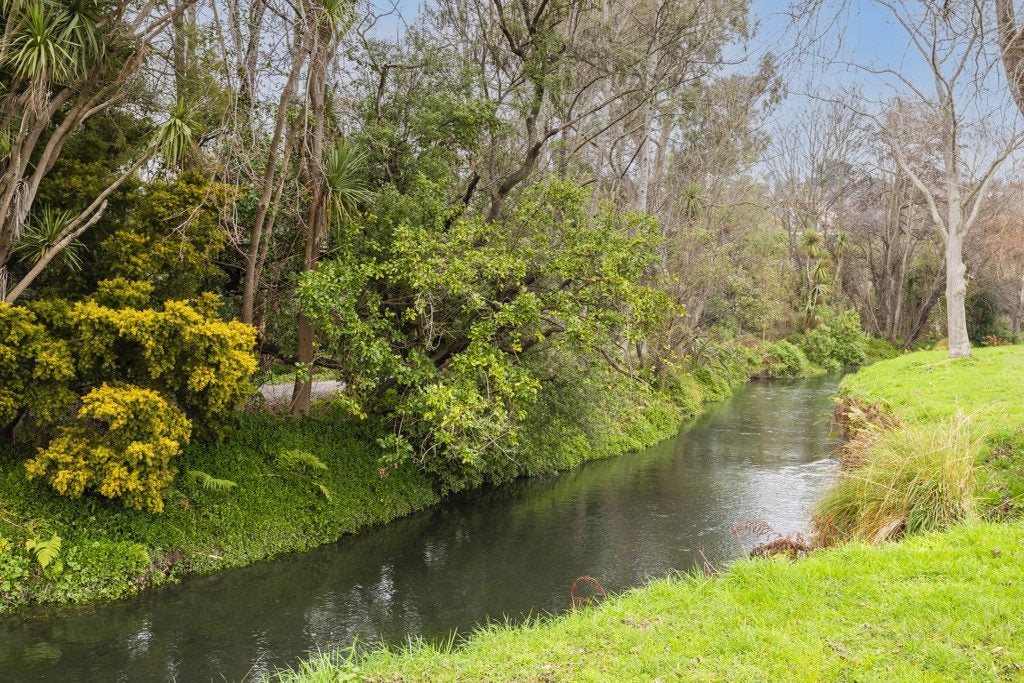 265 Ashgrove Terrace, Somerfield, Christchurch - Carousel 23