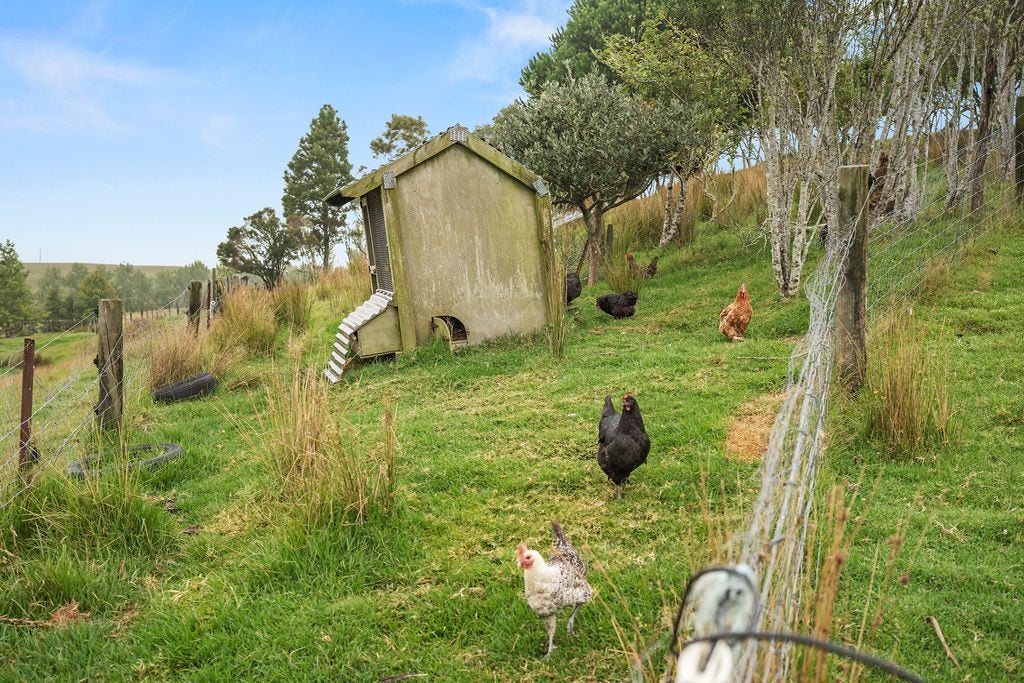 747 Three Mile Bush Road, Ruatangata West, Whangarei - Carousel 33