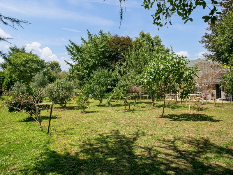 5 Murray Street, Leamington, Cambridge - Carousel 19