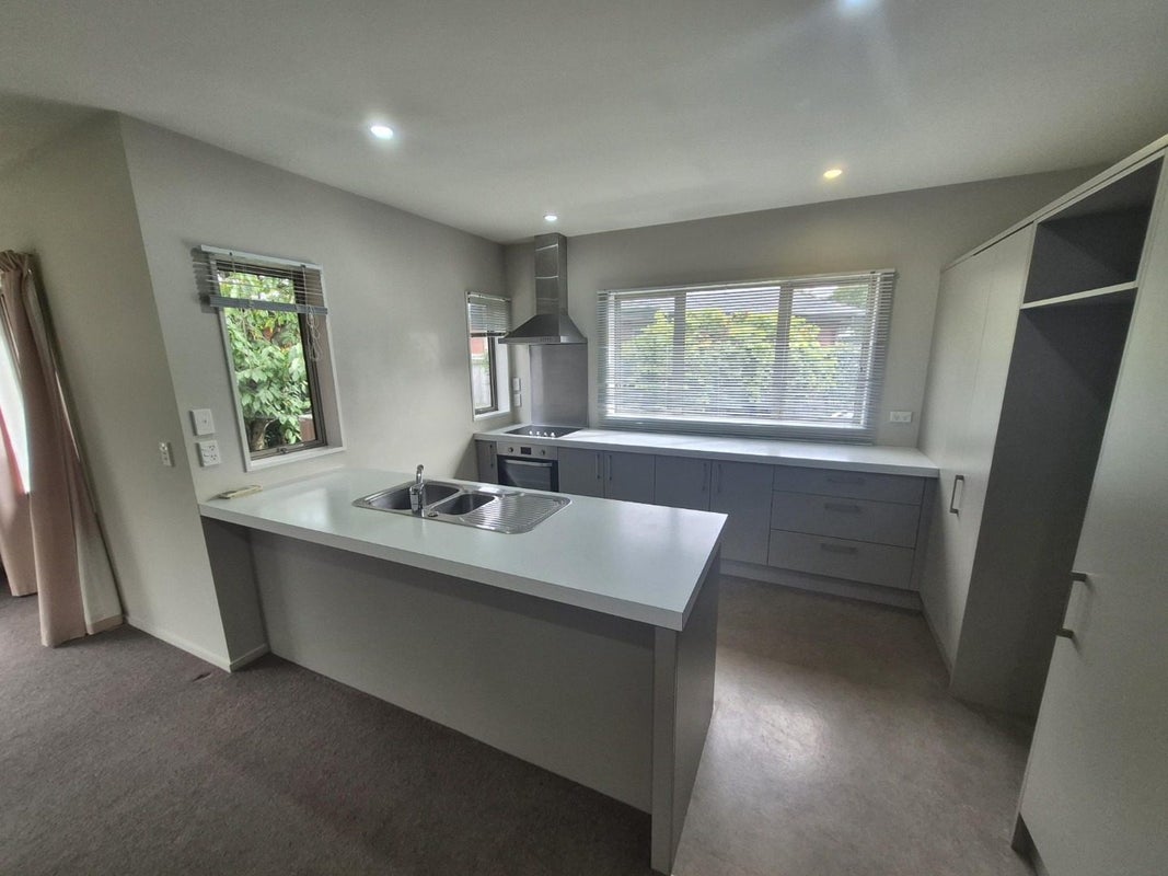 1C Moule Street, Addington, Christchurch - Carousel 2