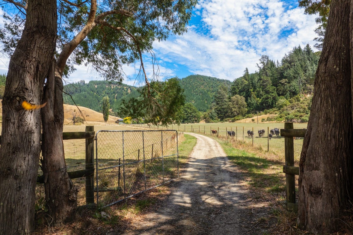 407 Onamalutu Road, Blenheim - Carousel 1