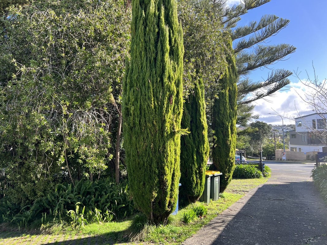 10 Oteha Valley Road, Northcross, Auckland - Carousel 12