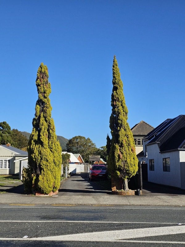 2/570 High Street, Boulcott, Lower Hutt - Carousel 19