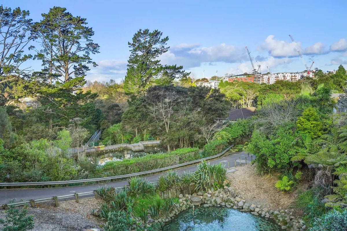 23/17 Georgia Terrace, Albany, Auckland - Carousel 16